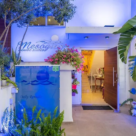 Mesogios House * לרנקה