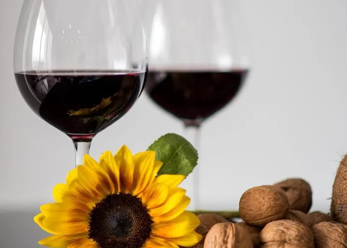 Mesogios House Апартаменты *