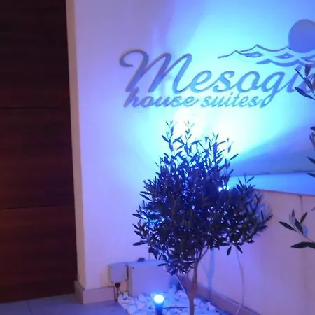 Mesogios House * Larnaca