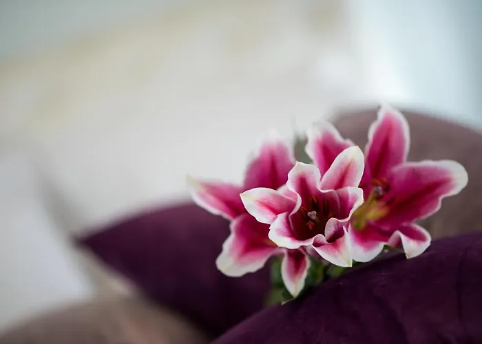 Appartement Mesogios House *